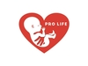 Etats-Unis: vers la fin de l'avortement au-delà de vingt semaines de grossesse?