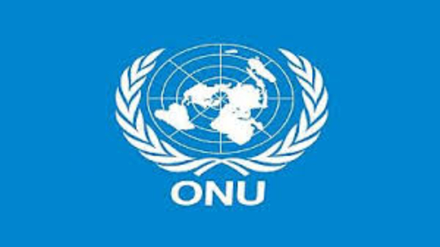 L'ONU appelle les autorités françaises à retirer l'article 24 de la loi Sécurité globale 