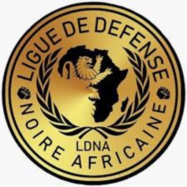La LDNA «ne regrette pas la mort» des militaires français tués au Mali