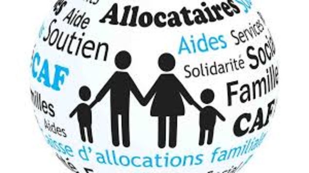 Fraude sociale : L’immigration pille-t-elle la France ?