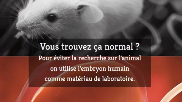 Jean-Marie Le Méné : "La bataille de l’embryon reprend"