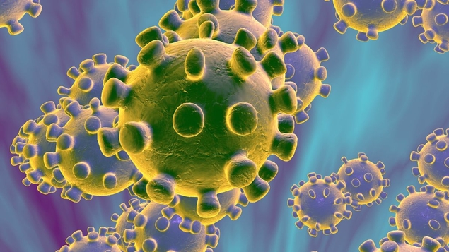 Le coronavirus, peste noire pour le mondialisme