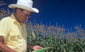 Les agriculteurs américains blancs face à la "discrimination historique"