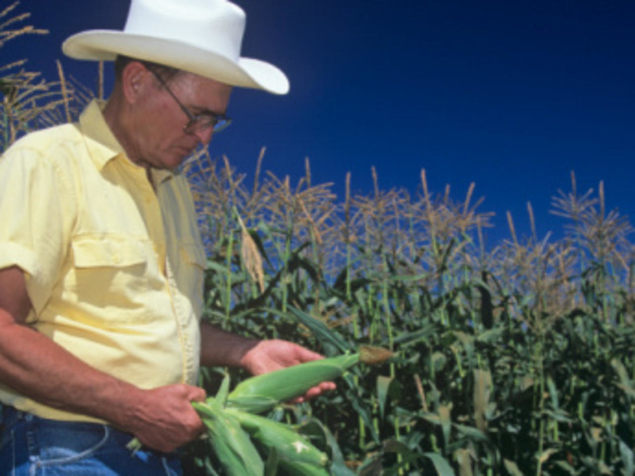 Les agriculteurs américains blancs face à la "discrimination historique"