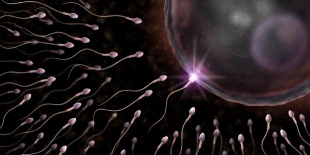 Que les députés pro-PMA donnent leur sperme d’abord !