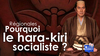 Régionales : pourquoi le Parti socialiste se fait hara-kiri ? 