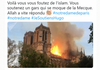 Ces réactions de joie scandaleuses à l’incendie de Notre-Dame