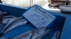 Des poissonniers du Vieux-Port de Marseille verbalisés pour ne pas avoir affiché le nom de leurs poissons en latin