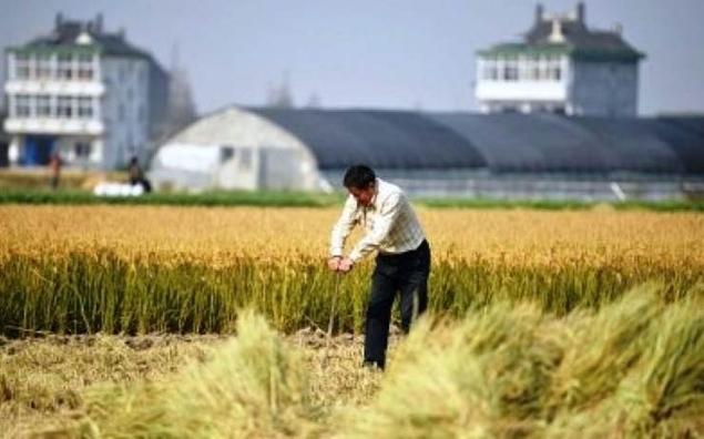 Alimentation: comment la Chine a raflé le pouvoir mondial