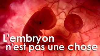 CEDH : les embryons humains ne sont pas des choses