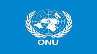Ces curieux « droits de l’homme » que l’ONU et la CEDH prétendent imposer
