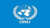 Ces curieux « droits de l’homme » que l’ONU et la CEDH prétendent imposer