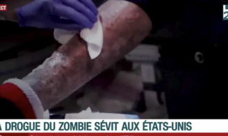 Drogue du zombie : la France est-elle vraiment à l’abri ?