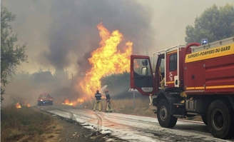 Incendies : «  On ne peut plus gérer une forêt comme avant »