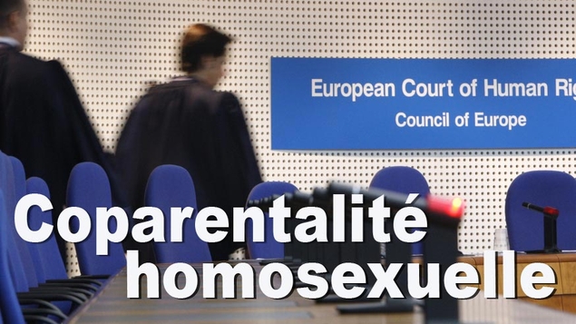 La Cour européenne crée un droit à l’adoption homosexuelle