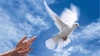 Les colombes blanches de l’Égypte copte