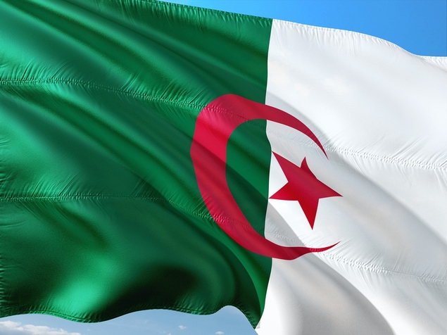 "Nous sommes soucieux de nos ressortissants" : la grossière manip' de l'Algérie autour de la mort de Nahel