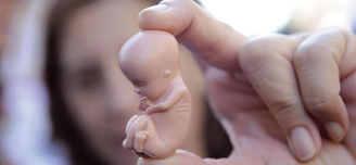 Plainte contre le Planning familial pour « trafic de mineures»