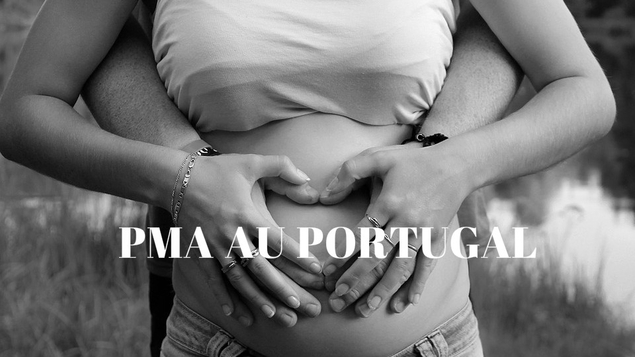PMA pour toutes et GPA «altruiste» au Portugal : l'internationalisation du business de l'enfant ?