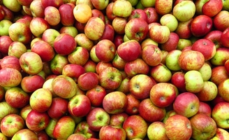 Poissons, pommes... Ces importations qui bénéficient de normes plus coulantes que les produits français