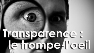 Politique : le trompe-l'oeil de la transparence