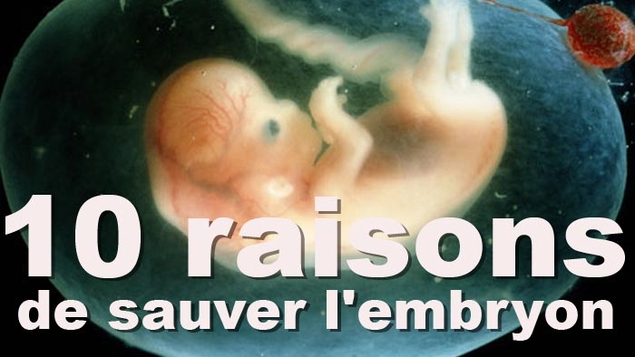Recherche sur l’embryon : 10 raisons de dire non
