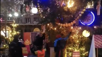 Strasbourg : le sapin de Noël victime du militantisme écolo