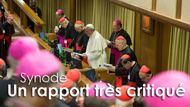 Synode : un rapport d'étape très critiqué